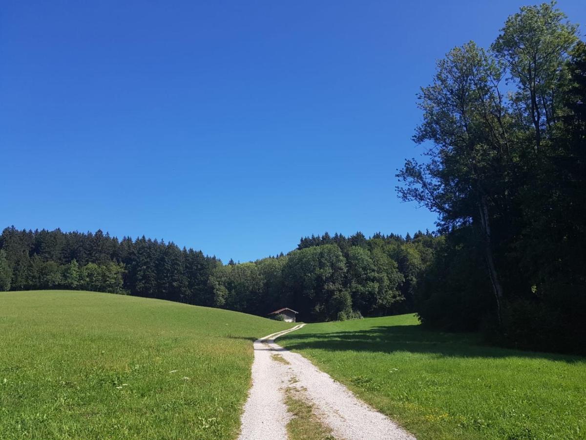Ferienhaus Chiemgauer Auszeit- Chiemgaukarte Inclusive Зігсдорф Екстер'єр фото