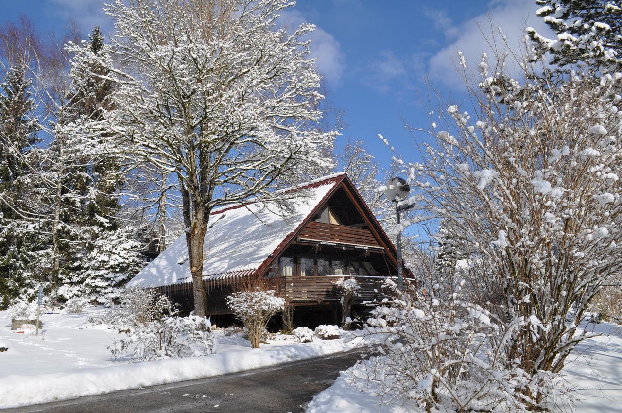 Ferienhaus Chiemgauer Auszeit- Chiemgaukarte Inclusive Зігсдорф Екстер'єр фото