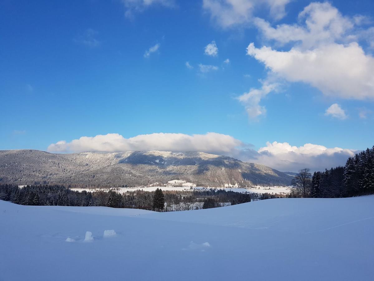 Ferienhaus Chiemgauer Auszeit- Chiemgaukarte Inclusive Зігсдорф Екстер'єр фото