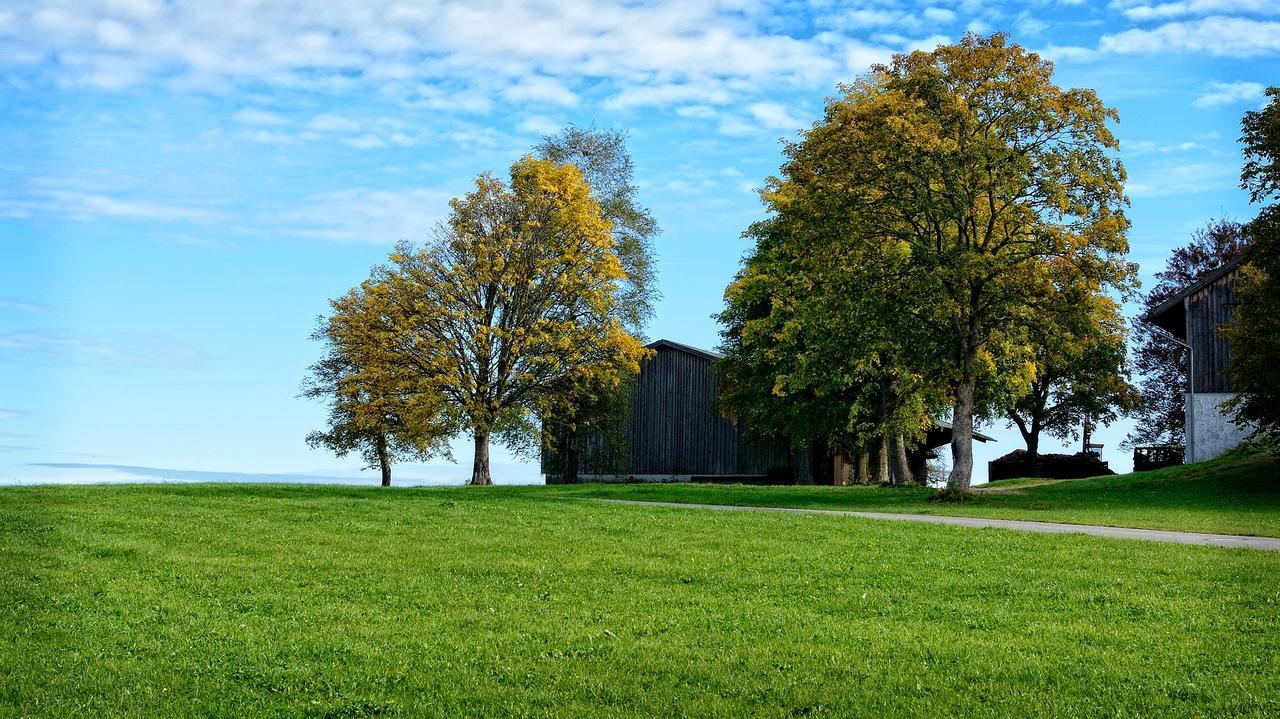 Ferienhaus Chiemgauer Auszeit- Chiemgaukarte Inclusive Зігсдорф Екстер'єр фото